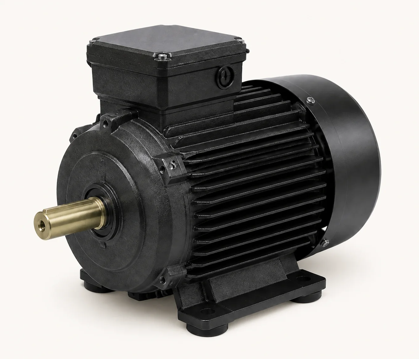 Charcoal industrial electric motor
